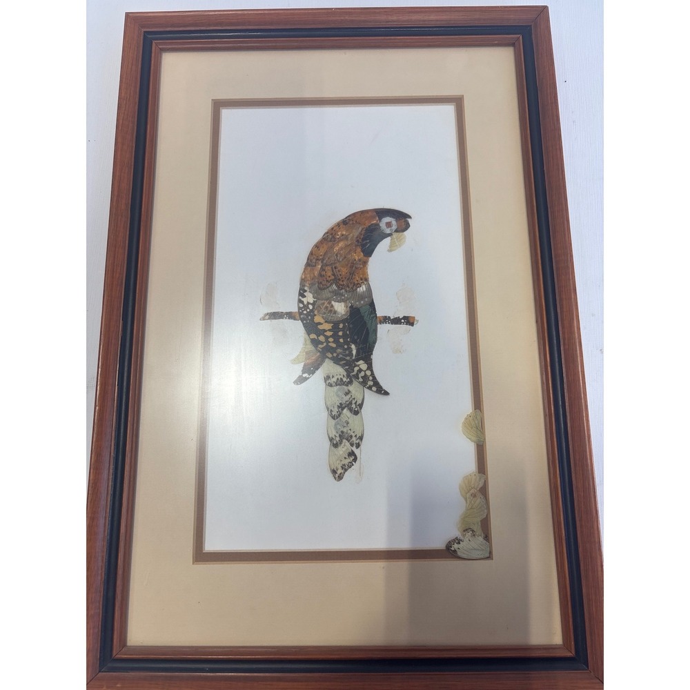 Vintage Real Butterfly Wing Art Bird Folk Art Framed 17.5x13.5 Mixed Media